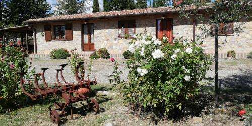 www.collomici.it