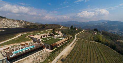 www.tasi.wine