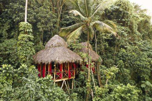 www.dominicantreehousevillage.com