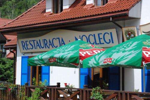 www.kudlatyaniol.pl