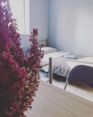 www.lawendowyhostel.pl