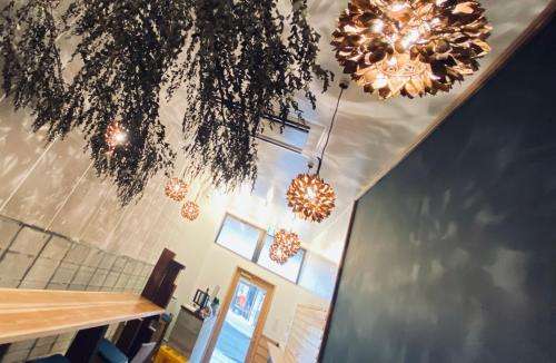 www.haluhotel.com