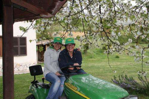 www.ferrarifarm.com