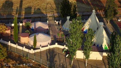 www.playasdelvicario.es