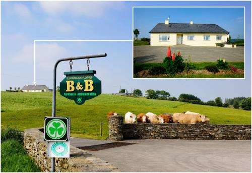 www.coolbawnlodge.com