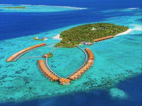 www.ayadamaldives.com