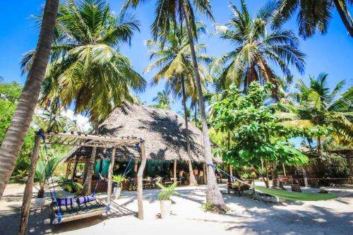 www.yourzanzibarplace.com