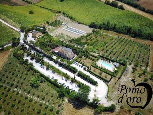 www.agriturismopomodoro.com