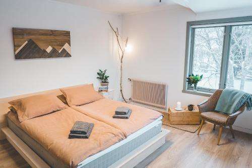 www.furuhostel.com
