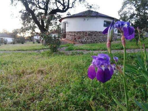 www.valdevilanocasarural.com