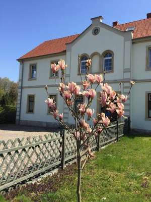 www.oldskulowo.pl