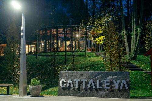 www.cattaleya.cz