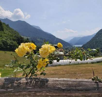 www.agriturladasa-ledro.it