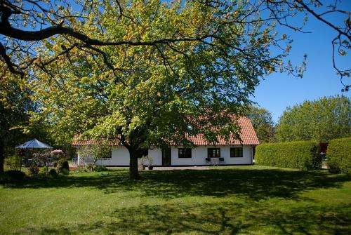 www.fuglsang-bed-og-breakfast.com