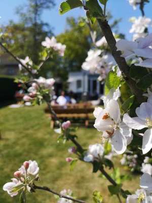 www.bbdekoffietuin.nl