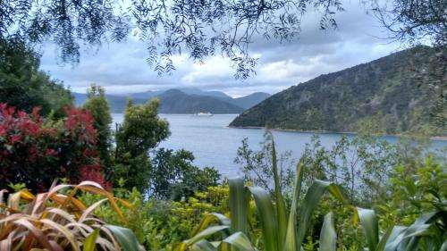 www.aseaview.co.nz