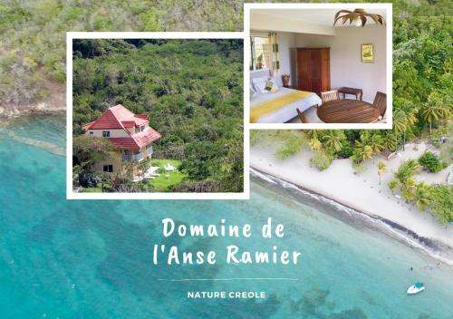 www.anseramier.com