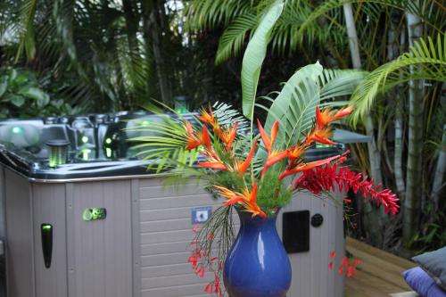 www.chambredhotes-martinique.com