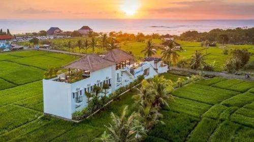 www.swellhotelbali.com