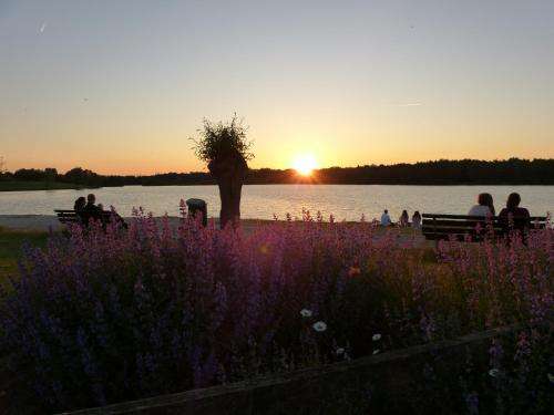 www.seeblick-gronau.de