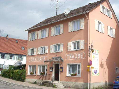 www.traube-bodensee.de