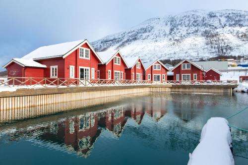 www.xlyngen.no