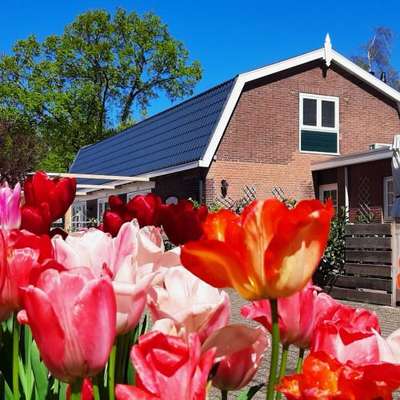 www.dehoffstal.nl