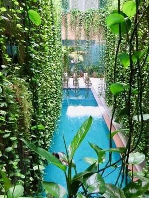 www.hotelpalmarena.com