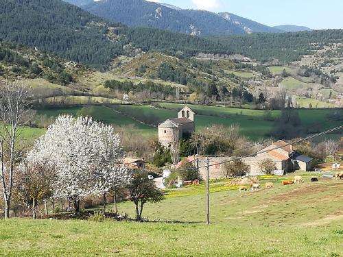 www.larectoriadepedra.es