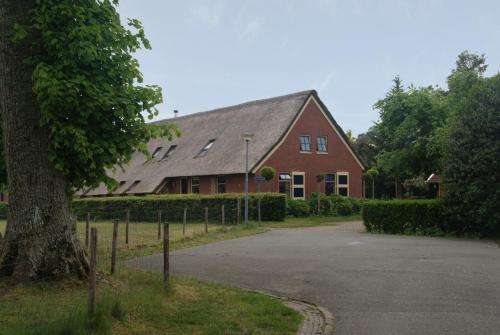www.ollesaks.nl