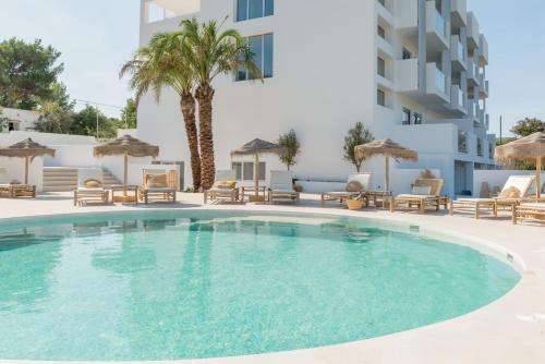 www.theoliveibiza.com
