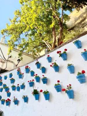 www.marbellavillage.es