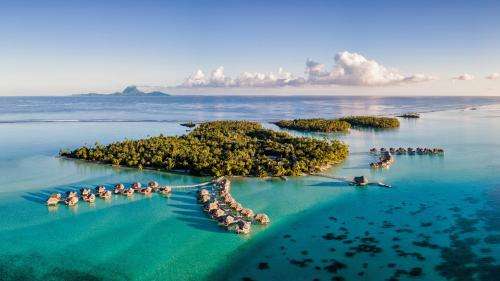 www.letahaa.com