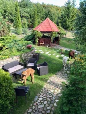 www.agroalpaka.pl