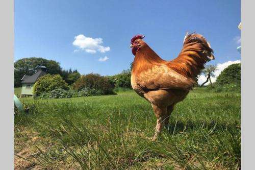 www.southbarloganfarm.com