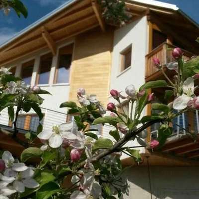 www.agriturfiore.it