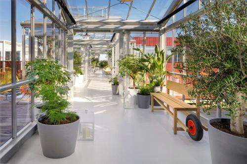 www.livezoku.com