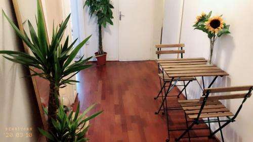 www.dongdonghotel.com.es