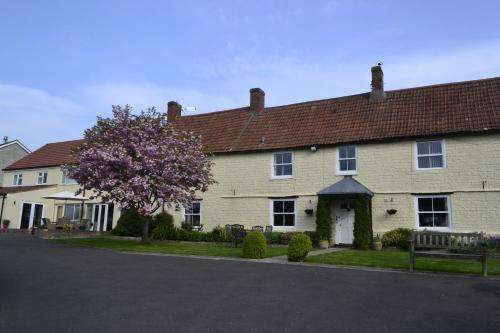 www.ashcottlawns.co.uk