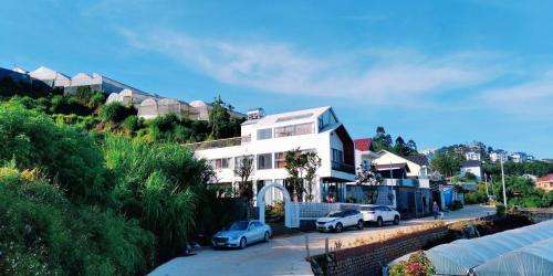 www.soihomestay.com