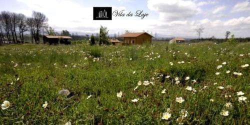 www.viladalaje.pt