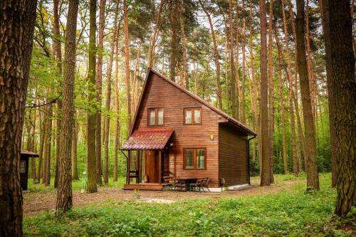 www.auragrotniki.pl