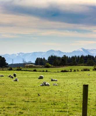www.gembedandbreakfast.co.nz