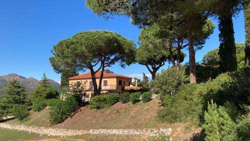 www.residencefiorenzo.it