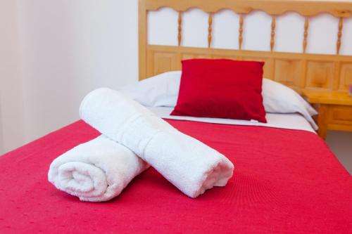 www.apartamentos-puet.com