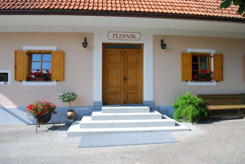 www.rotovnik-plesnik.si