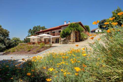 www.quinta-farfalho.be
