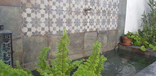 www.casadanzantes.es