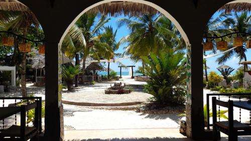 www.waikikiafrica.com