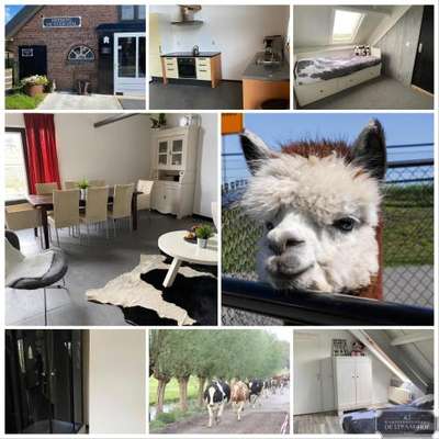 www.straat-hof.nl